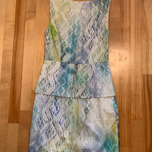 Elie Tahari Luxury Dress from Ogilvy’s - Picture 3 of 7